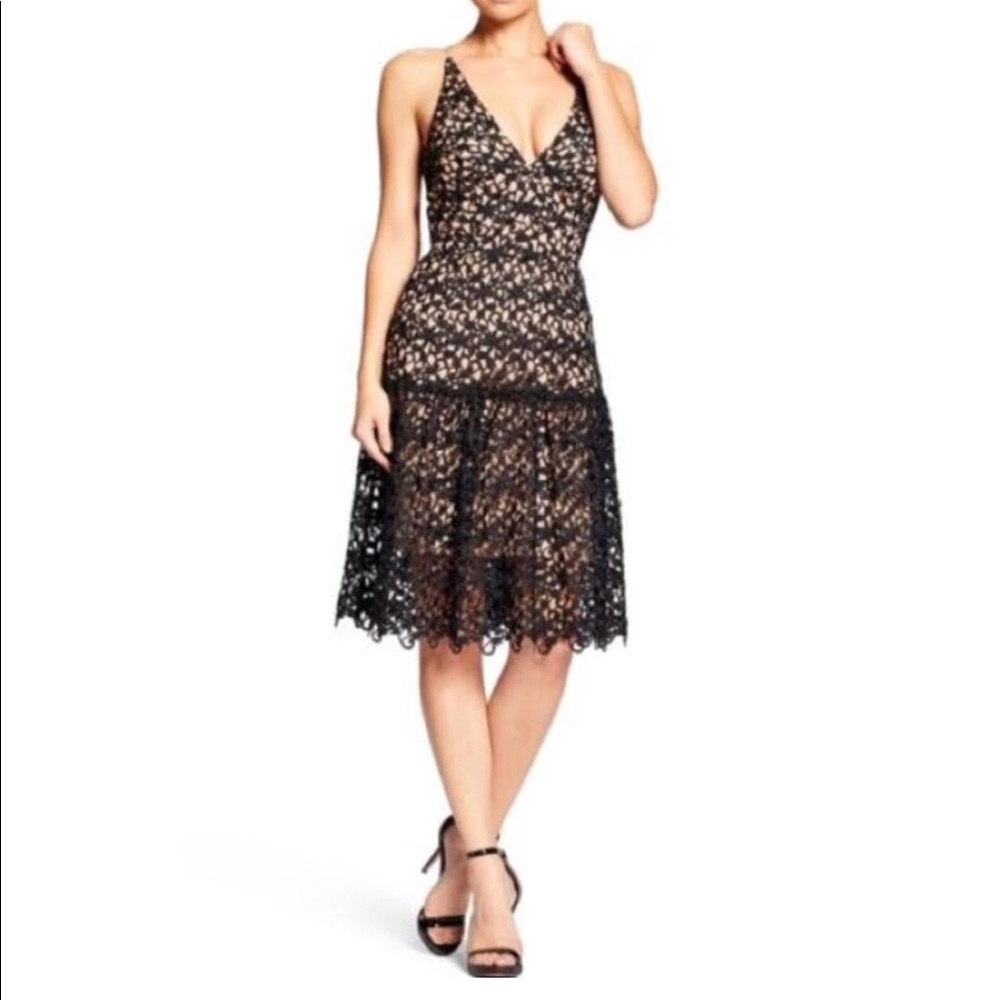 Dress the population lily crochet lace dress